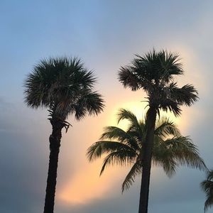 Meet your Posher, Celina